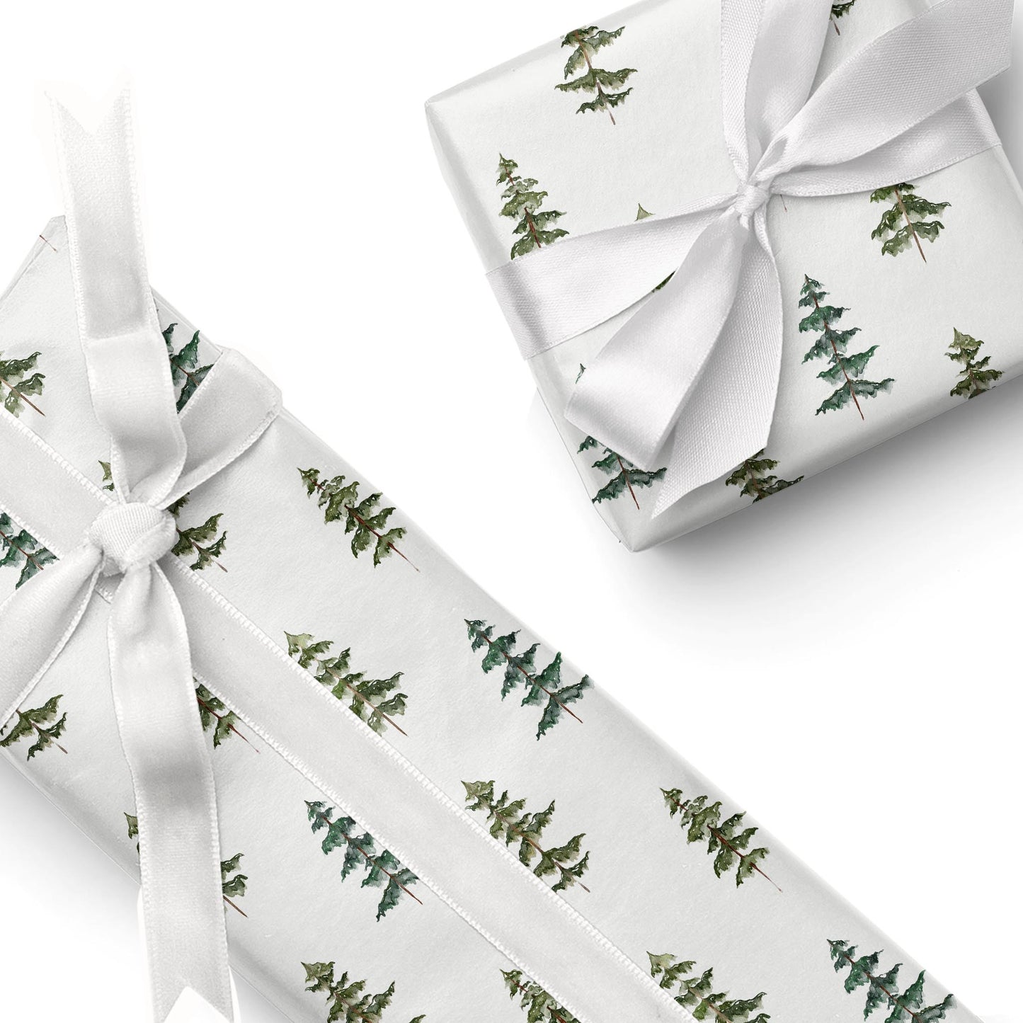 Evergreen Echo