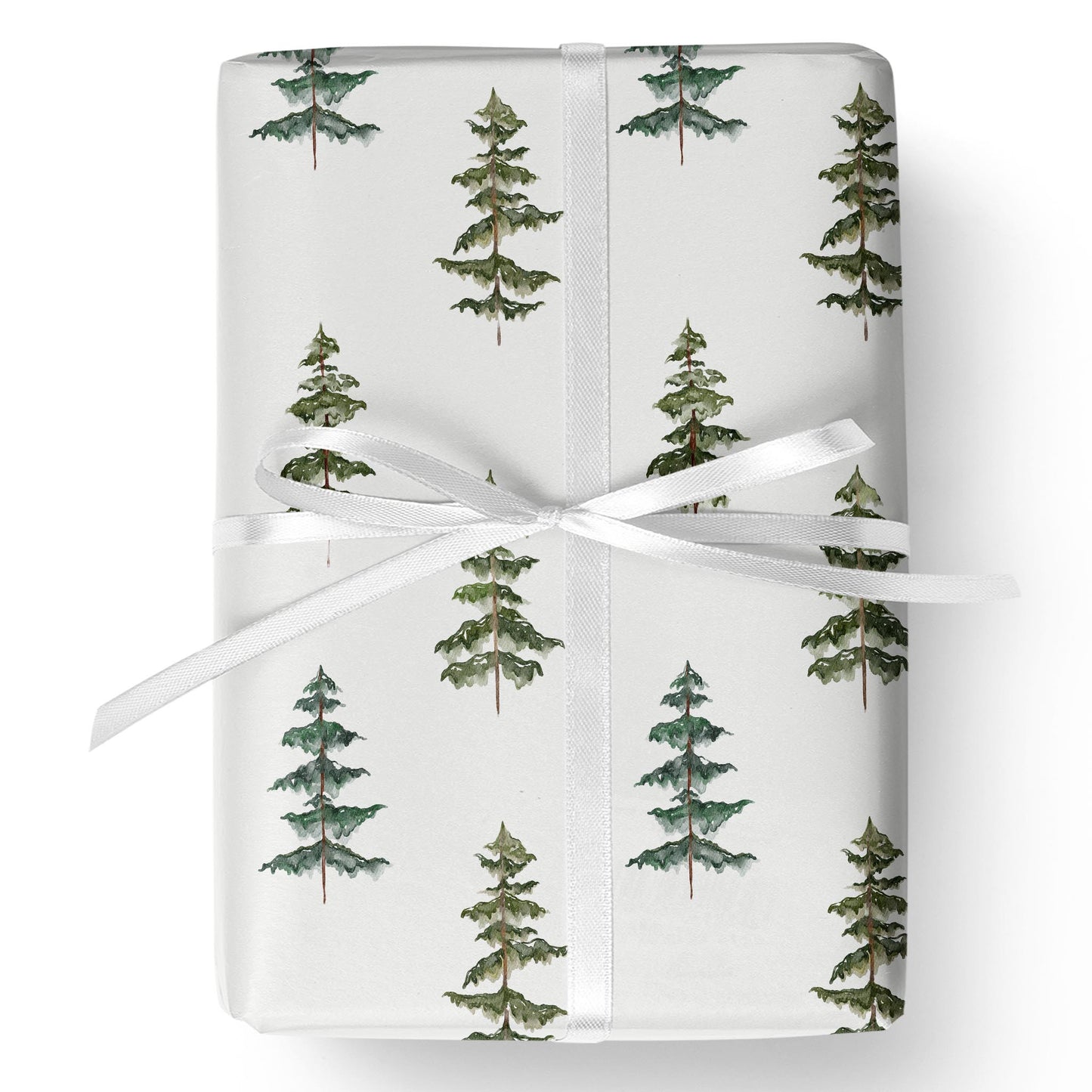 Evergreen Echo