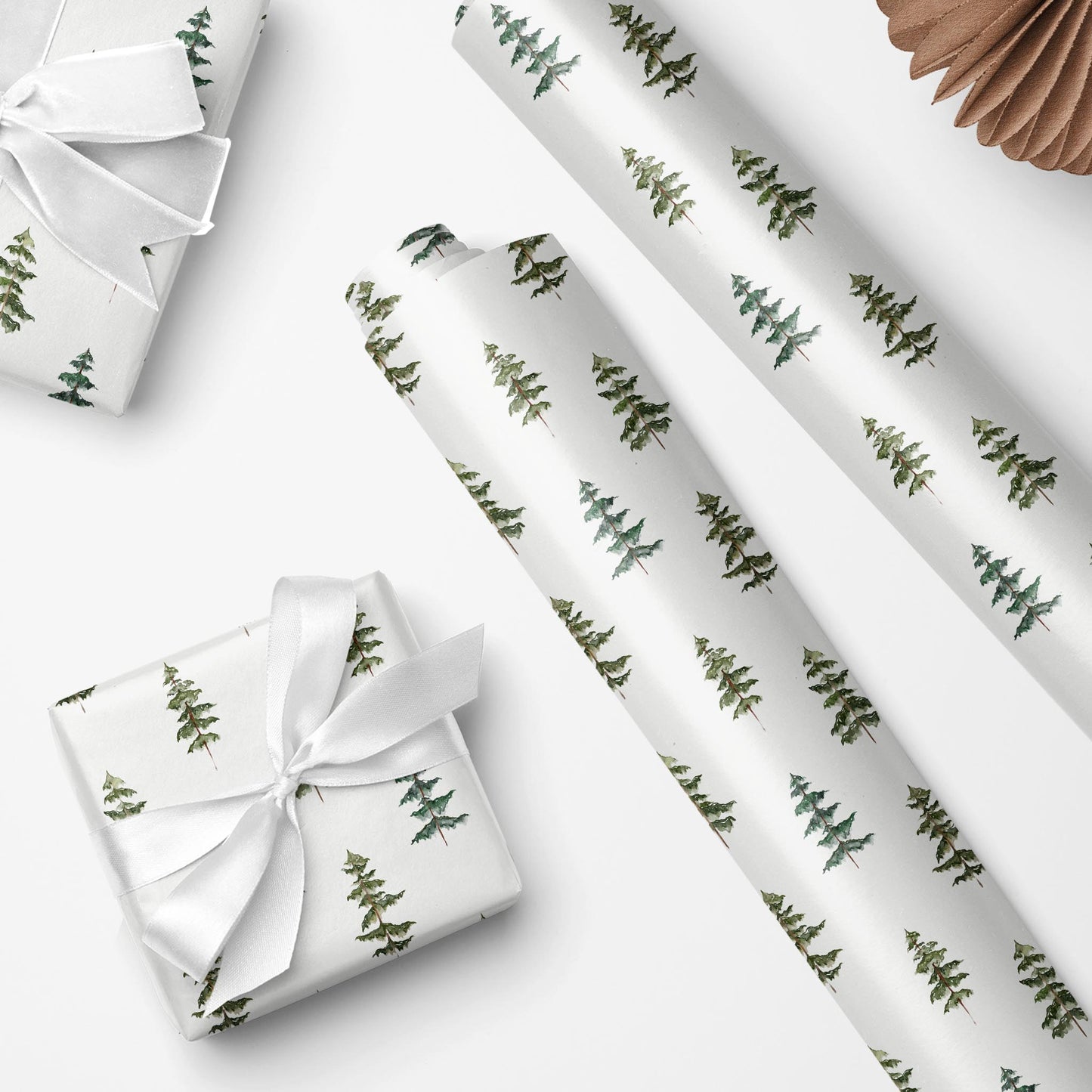 Evergreen Echo