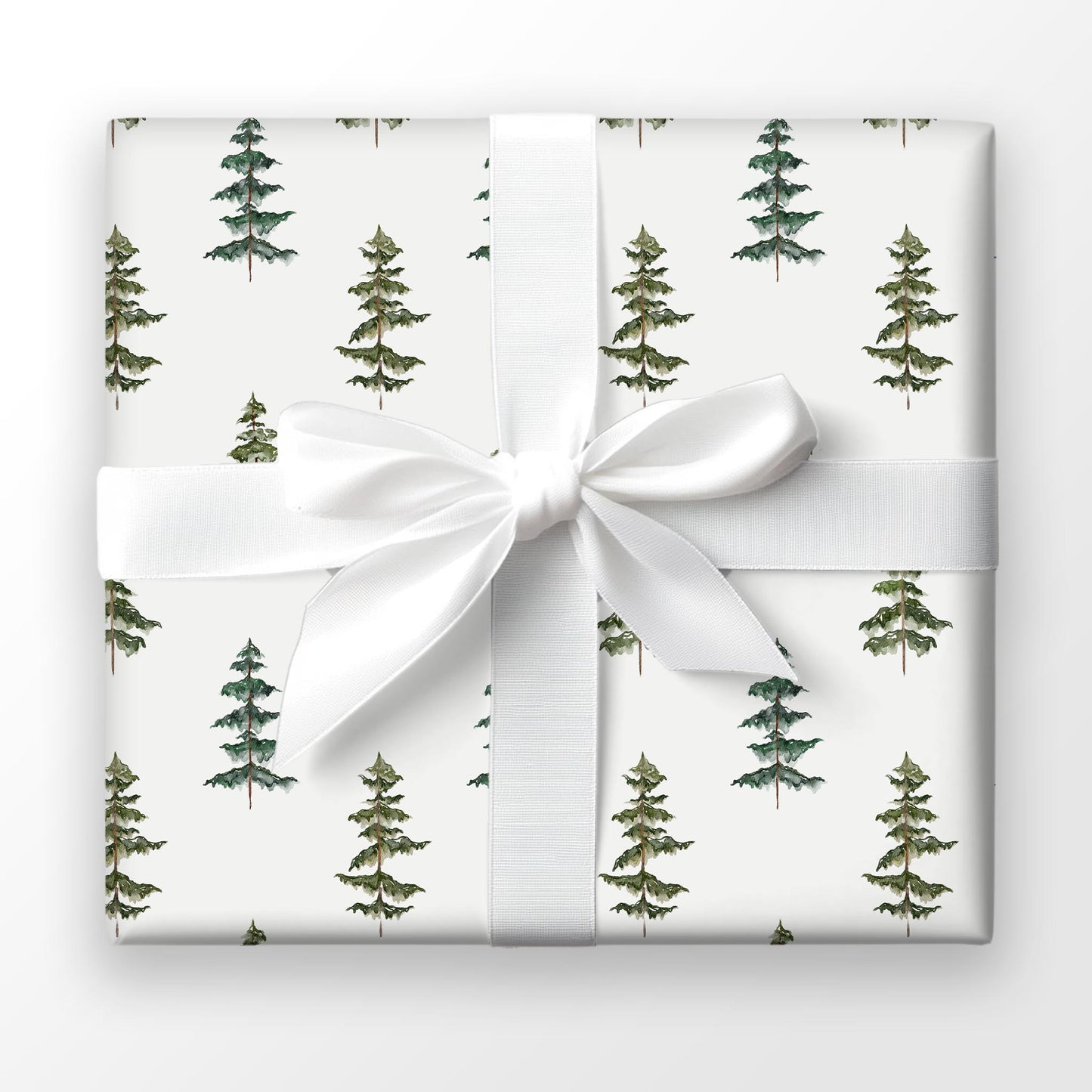 Evergreen Echo