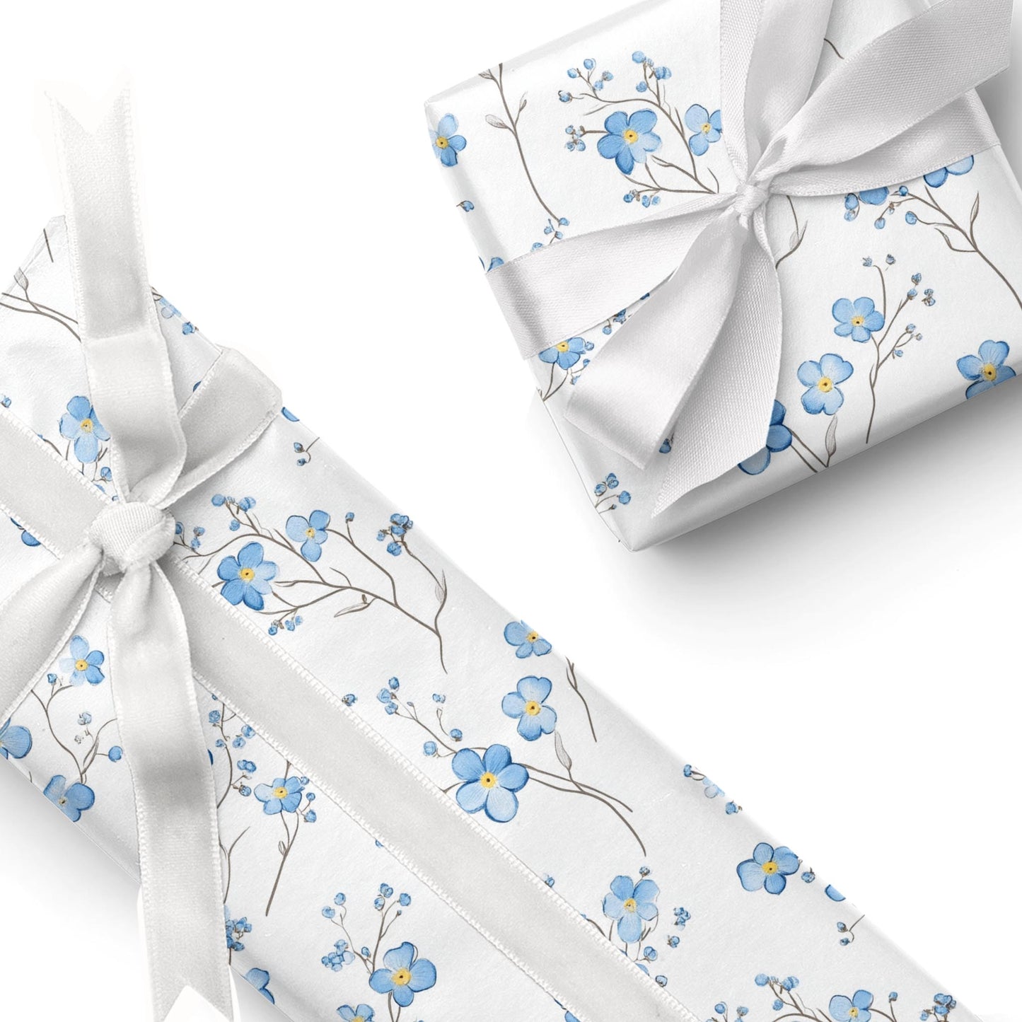 Softly Forget-Me-Not
