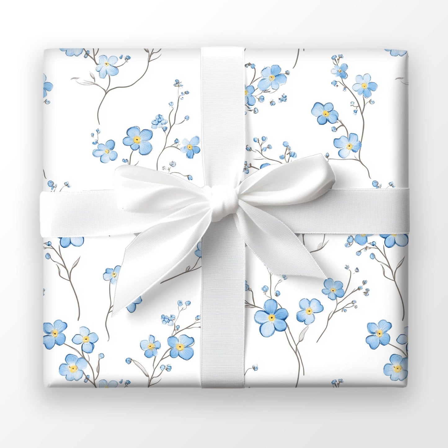 Softly Forget-Me-Not