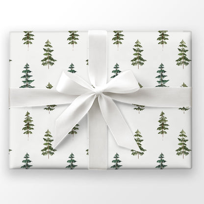 Evergreen Echo