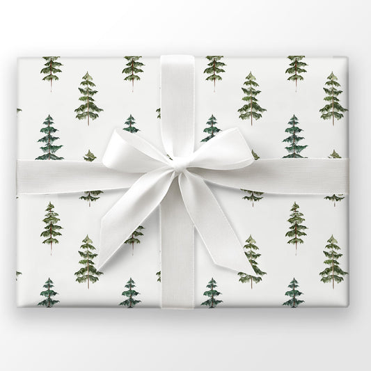 Evergreen Echo