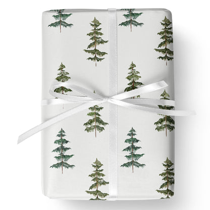 Evergreen Echo