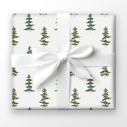 Evergreen Echo