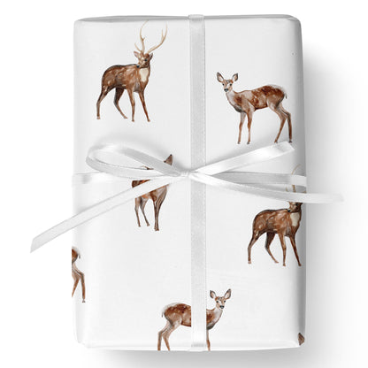 Oh My Deer
