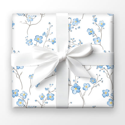 Softly Forget-Me-Not