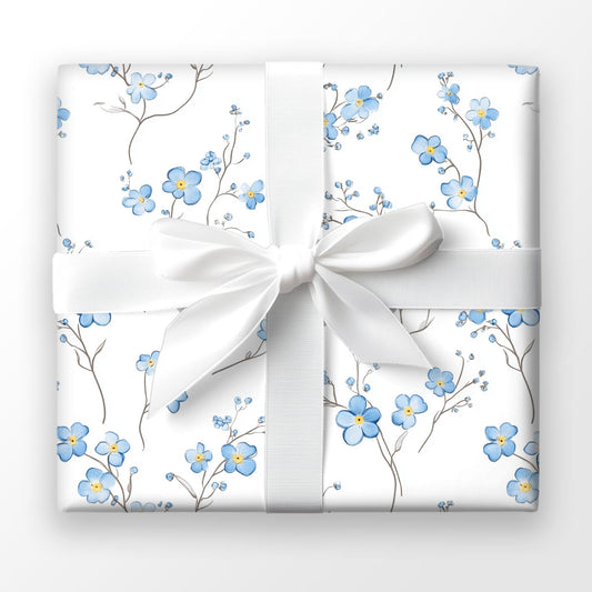 Softly Forget-Me-Not